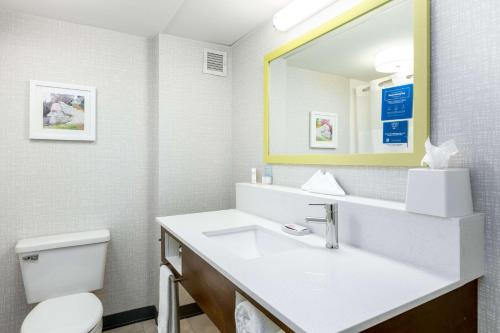 都柏林哥伦布/都柏林汉普顿酒店的一间带水槽、卫生间和镜子的浴室