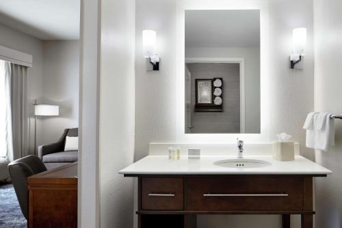 尚佩恩霍姆伍香槟-乌尔班纳酒店的一间带水槽和镜子的浴室