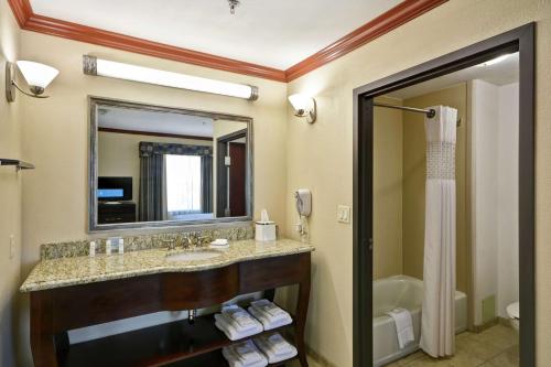 科珀斯克里斯蒂科珀斯克里斯蒂I-37 - 导航大道汉普顿酒店及套房 的浴室配有盥洗盆、镜子和浴缸