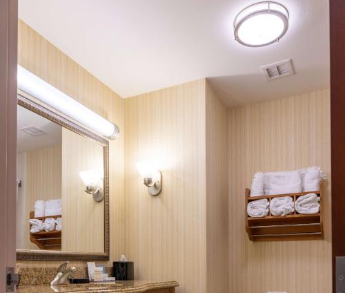 爱丽丝爱丽丝希尔顿恒庭酒店的浴室配有盥洗盆、镜子和毛巾