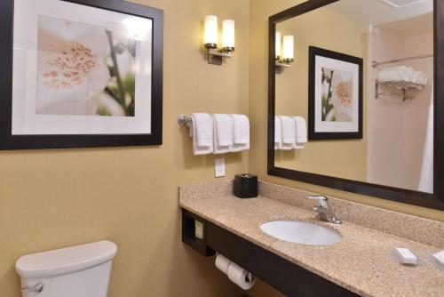 西切斯特西切斯特希尔顿花园酒店的一间带水槽、镜子和卫生间的浴室
