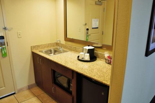 辛辛那提辛辛那提/住宅区-大学地区希尔顿恒庭旅馆&套房酒店的一间带水槽和镜子的浴室