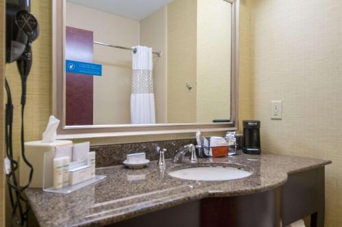沃克西哈奇沃克西哈奇汉普顿套房酒店的一间带水槽和大镜子的浴室