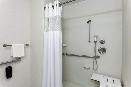 奥扎克奥索卡汉普顿酒店的带淋浴和浴帘的浴室