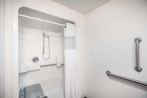 多佛尔多佛尔汉普顿酒店的带淋浴和浴帘的浴室