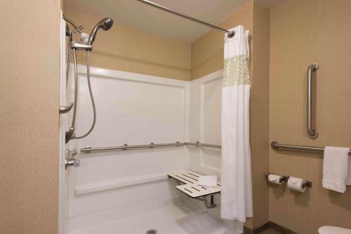丹维尔丹维尔汉普顿旅馆及套房的带淋浴和卫生间的浴室
