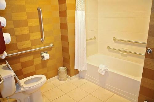 奥本希尔斯底特律/奥本山北希尔顿恒庭酒店的一间带卫生间和浴缸的浴室