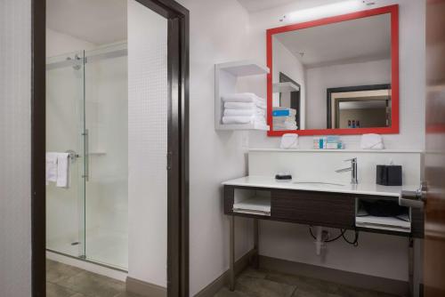 伊格尔帕斯伊格尔帕斯汉普顿酒店的一间带水槽、镜子和淋浴的浴室