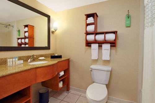 Austinburg阿什塔布拉希尔顿恒庭酒店的一间带卫生间、水槽和镜子的浴室