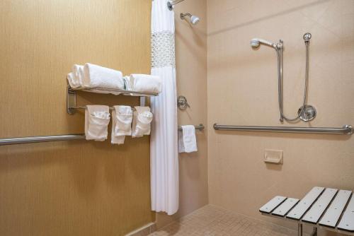 佛罗伦萨Hampton Inn & Suites Florence-North-I-95的浴室配有淋浴和带毛巾的卫生间。