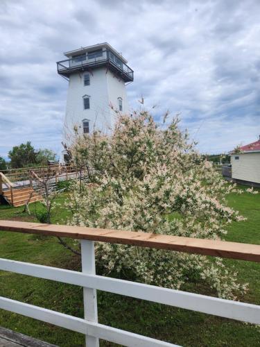 布拉克利海滩Baywatch Lighthouse Cottages & Motel的灯塔前面有开花的灌木丛