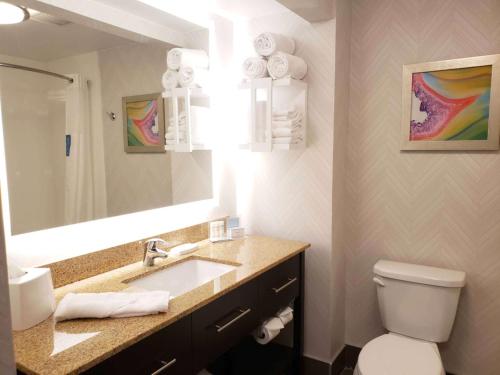 格林斯堡格林斯堡汉普顿宾馆的一间带水槽、卫生间和镜子的浴室