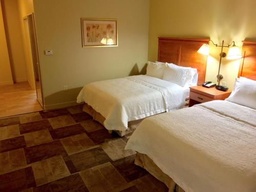 加登城加登城希尔顿欢朋酒店的酒店客房,设有两张床和一盏灯