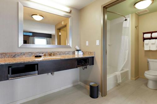 格尔夫波特格尔夫波特汉普顿旅馆及套房酒店的一间带水槽、卫生间和镜子的浴室