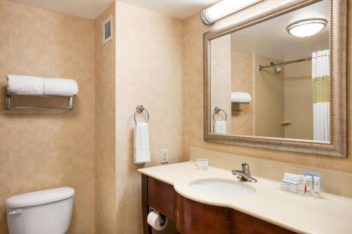 日内瓦纽约州汉普顿日内瓦酒店的一间带水槽、卫生间和镜子的浴室