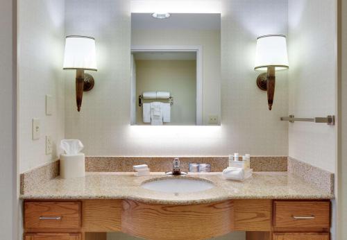 黑格斯敦黑格斯敦霍姆伍德套房酒店的一间带水槽和镜子的浴室