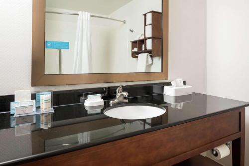 海伦海伦希尔顿恒庭酒店的一间带水槽和镜子的浴室