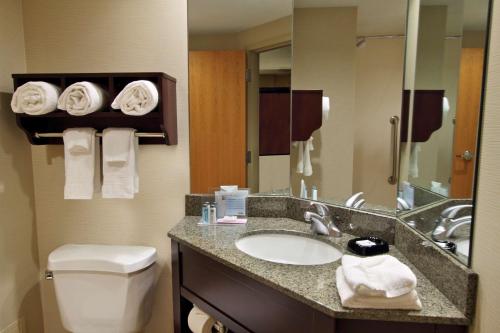 黑格斯敦黑格斯敦希尔顿恒庭酒店的一间带水槽、卫生间和镜子的浴室