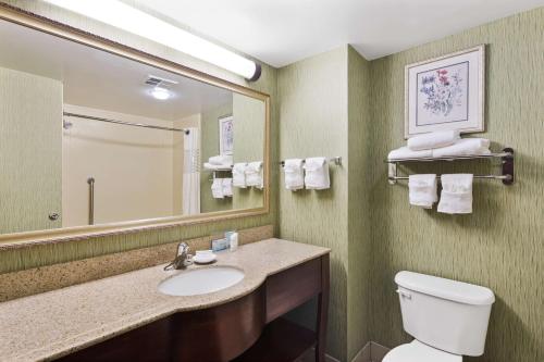 海恩斯维尔汉普顿海恩斯维尔酒店的一间带水槽、卫生间和镜子的浴室