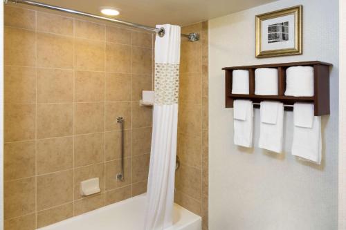 休斯顿休斯敦格拉利亚附近汉普顿酒店的带淋浴和浴缸的浴室