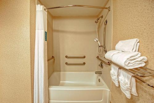 阿什兰阿什兰德希尔顿恒庭酒店的浴室配有浴缸、淋浴和毛巾。