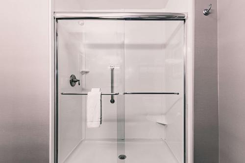 尼亚加拉瀑布尼亚加拉大瀑布/大道汉普顿酒店的浴室里设有玻璃门淋浴