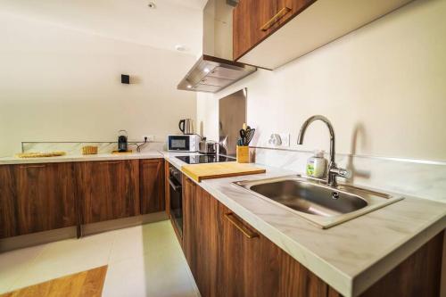 科洛布里埃Le Palm Appartement élégant & Design En Bord Rivière的厨房配有不锈钢盥洗盆和木柜