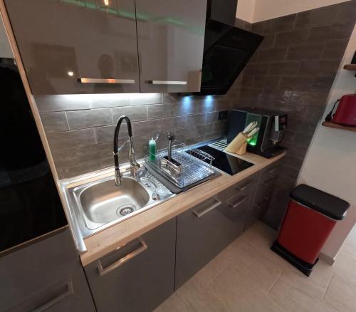 巴耶格兰雷伊Mini Suite 35 qm的一间小房间的厨房,内配水槽