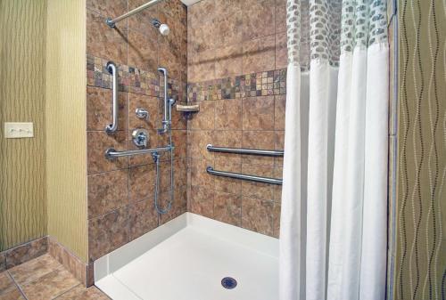 伯洛伊特汉普顿伯洛伊特酒店的带淋浴和浴帘的浴室