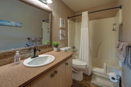 布兰森Centrally Located Branson Condo Step-Free Access的一间带水槽、卫生间和淋浴的浴室