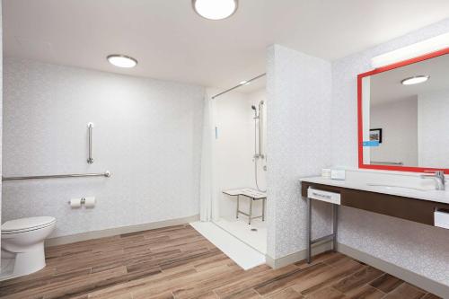 金斯波特金斯斯波特希尔顿恒庭酒店的一间带卫生间、水槽和镜子的浴室