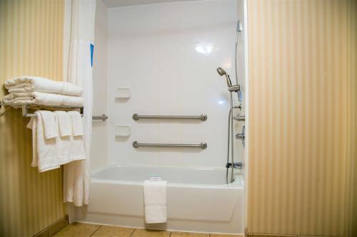 刘易斯堡刘易斯堡汉普顿酒店的浴室配有浴缸、淋浴和毛巾。