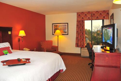 北普拉特北普拉特汉普顿酒店的配有一张床和一台平面电视的酒店客房