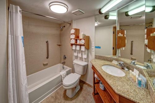 温彻斯特温切斯特（KY）希尔顿恒庭酒店的浴室配有卫生间、浴缸和水槽。