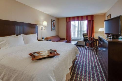拉斯克鲁塞斯拉斯克鲁塞斯25号州际公路汉普顿套房酒店的一间酒店客房,配有一张大床和一台平面电视