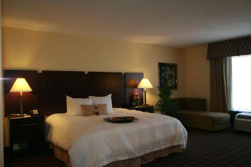 奥兰多奥兰多汉普顿套房酒店 - 约翰·杨大路/南公园的酒店客房设有一张大床和一张沙发。