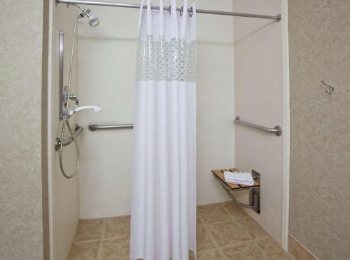米切尔米切尔汉普顿酒店的浴室内配有淋浴帘。