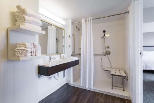 马纳萨斯马纳萨斯汉普顿旅馆的一间带水槽和镜子的浴室