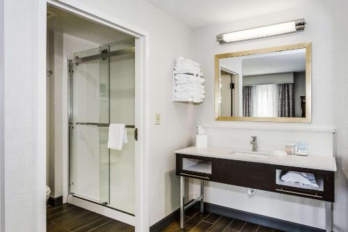 莫比尔莫比尔汉普顿旅馆&套房 - 历史区闹市区的一间带水槽和淋浴的浴室