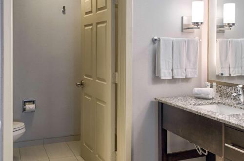 莫比尔摩拜尔希尔顿惠庭套房酒店的一间带水槽、卫生间和门的浴室