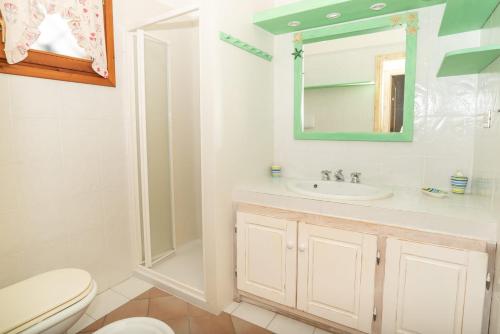 阿尔扎凯纳trilocale con piscina的一间带水槽、卫生间和镜子的浴室