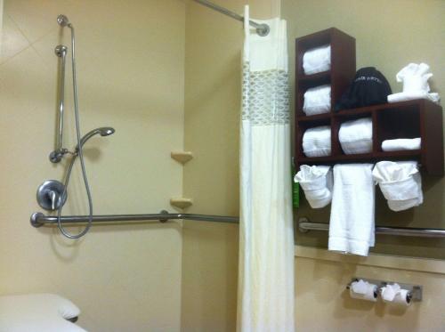 新伯尔尼新伯尔尼希尔顿恒庭酒店的浴室配有淋浴帘和毛巾