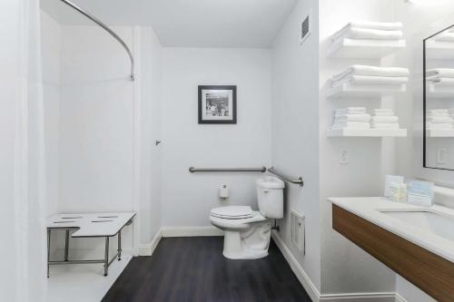 Heath希思希尔顿恒庭酒店的白色的浴室设有卫生间和水槽。