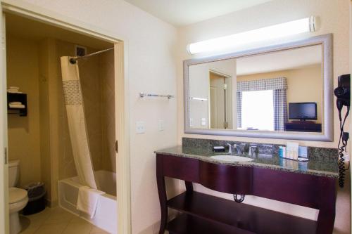纳奇兹汉普顿酒店加纳切兹套房的一间带水槽和镜子的浴室