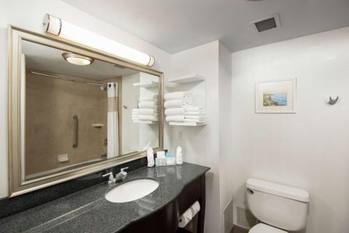 巴里希尔顿巴里汉普顿酒店及套房的一间带水槽、卫生间和镜子的浴室