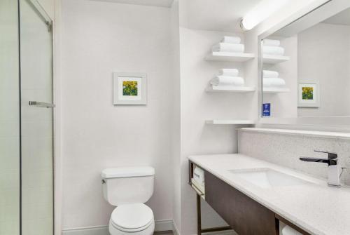 帕里斯巴黎汉普顿酒店的白色的浴室设有卫生间和水槽。