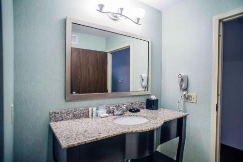 蒙蒂塞洛蒙蒂塞洛汉普顿酒店的一间带水槽和镜子的浴室