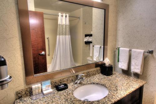 鸽子谷鸽子谷汉普顿酒店 的一间带水槽、镜子和淋浴的浴室