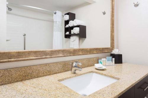 西米夫林汉普顿匹兹堡/西米夫林酒店的一间带水槽和大镜子的浴室