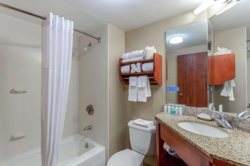 皮奥里亚东皮奥里亚汉普顿酒店的一间带水槽、卫生间和淋浴的浴室